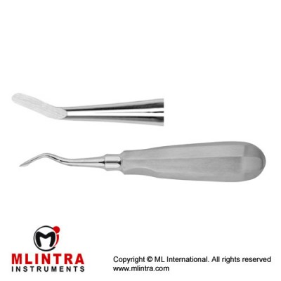 Miller (Apexo) Root Elevator Fig. 73 Stainless Steel, Standard